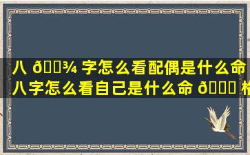 八 🌾 字怎么看配偶是什么命（八字怎么看自己是什么命 🐕 格）